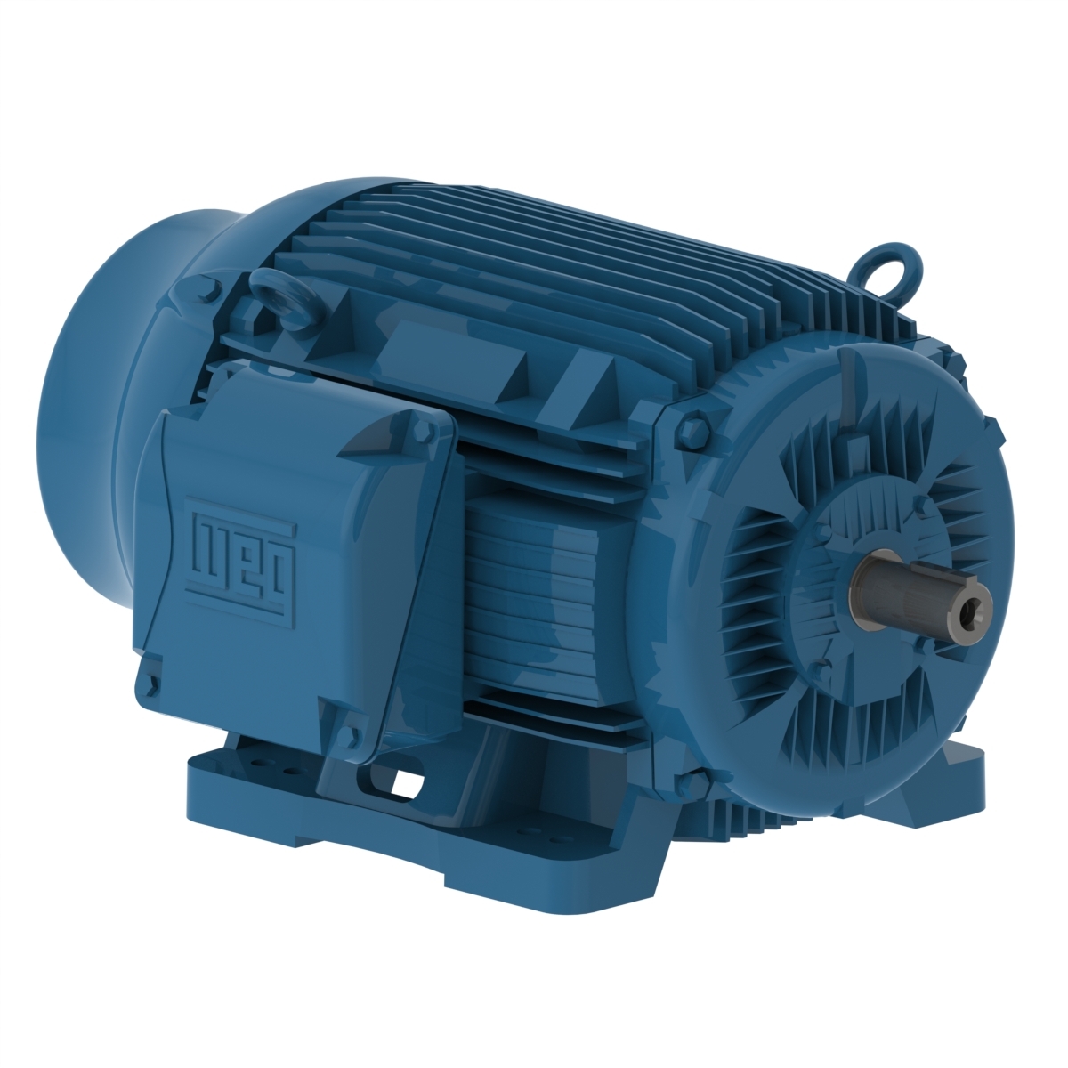 WEG W22 High Efficiency MOTORS – PRB Electronics