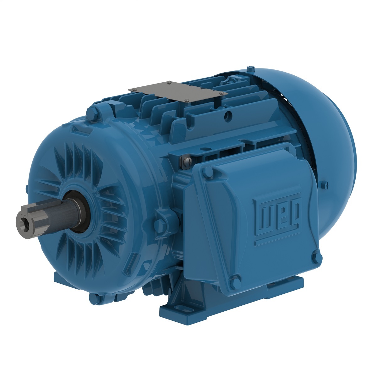 WEG IEC MOTORS Catalog Number: 00736ET3EAL132S-W22 | Product